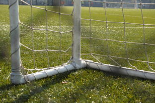 九游(jiuyou)官方网站-五大联赛门将扑点成功率大比拼，门将扑点球排名